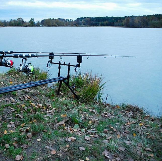 Fishing hook assortment