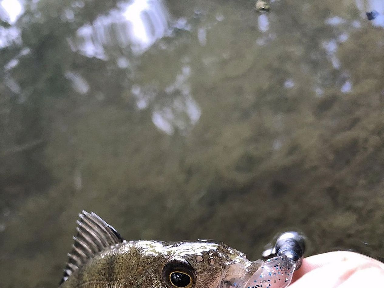 Close-up of a high-speed fishing reel